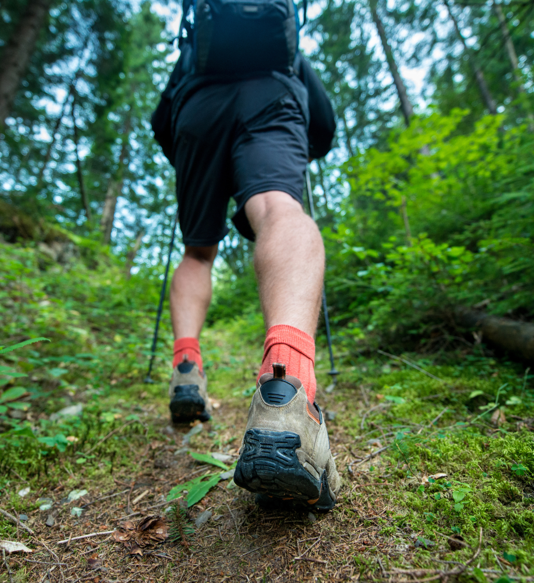 Person hiking in forest, image is focusing on exposed skin of the legs