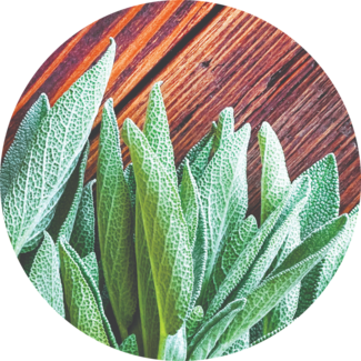 Fresh sage leaves on cedar board