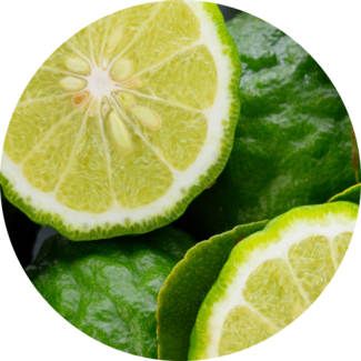 Bergamont citrus