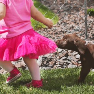 Natural Dog Care